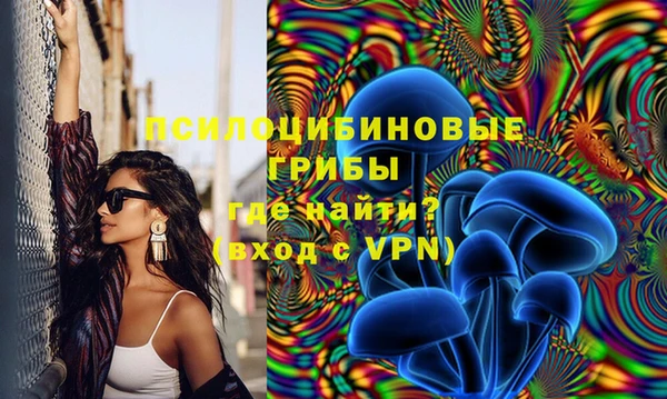 каннабис Белокуриха