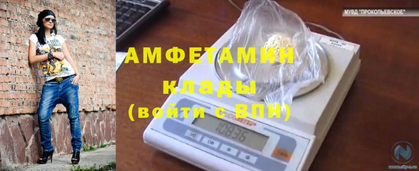 каннабис Белокуриха