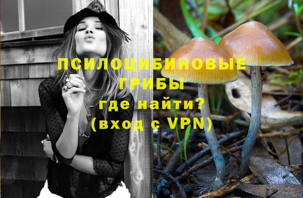 каннабис Белокуриха