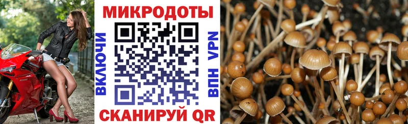 наркошоп Великие Луки Псилоцибиновые грибы Psilocybine cubensis